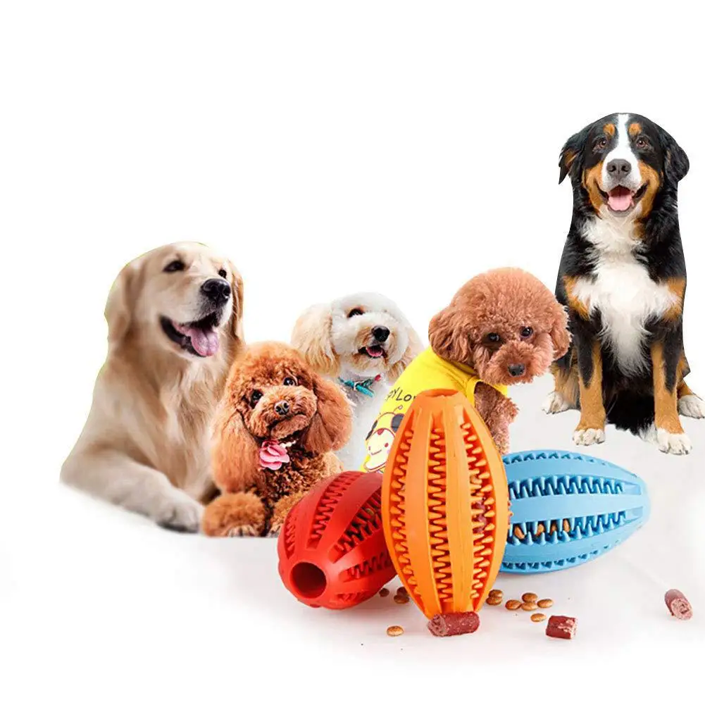 Dog Teeth Cleaning Toy 1005011938164418
