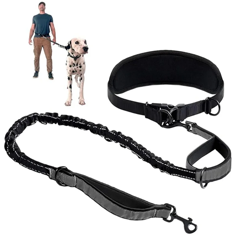 Hands Free Dog Leash Waist with Lumbar Support Belt Multifunctional Extendable Reflective Bungee 1005011941290225