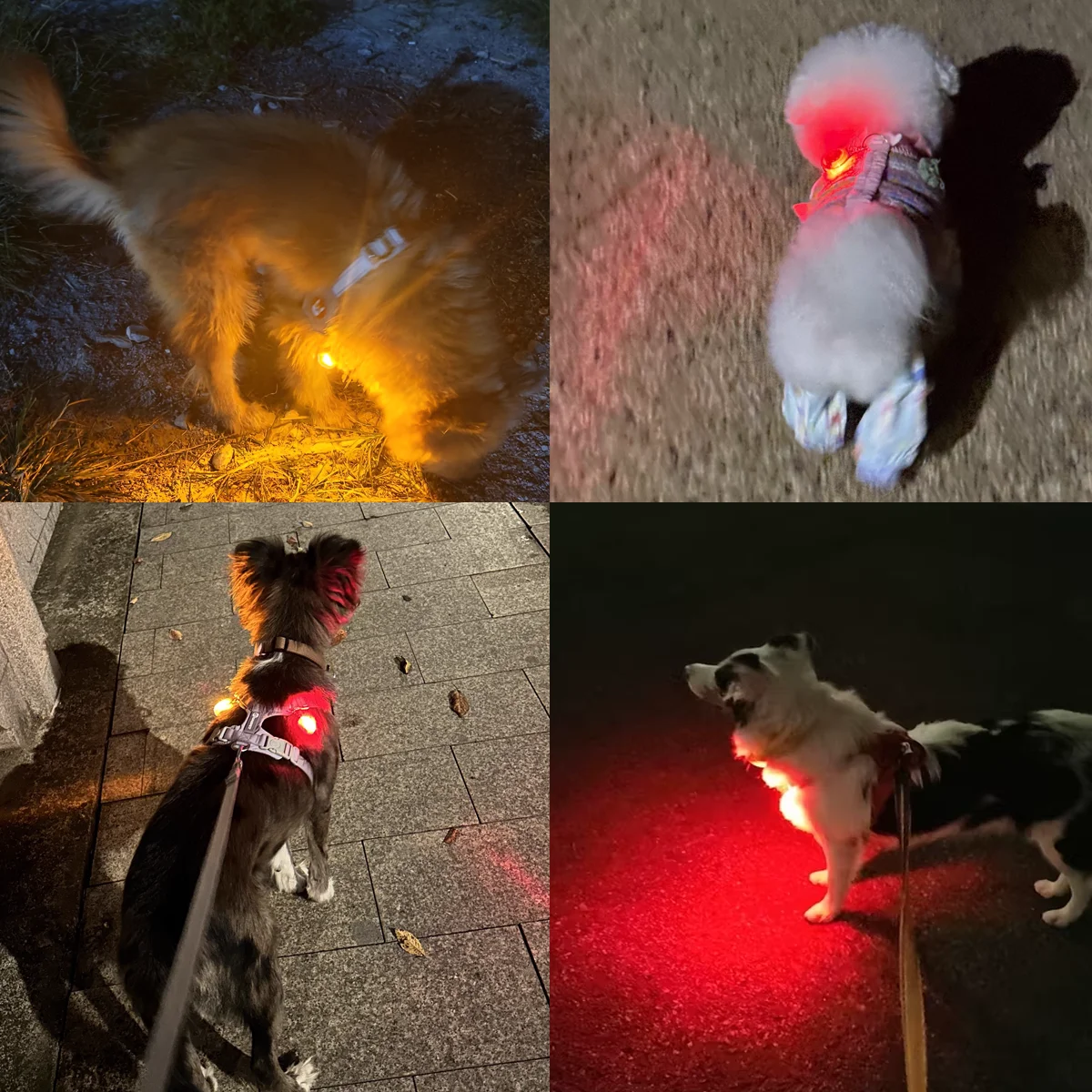 LED Light-Up Dog Collar Nighttime Dog Walking Light Pendant Nighttime Safety Decoration (1 Pc) 1005011960656353