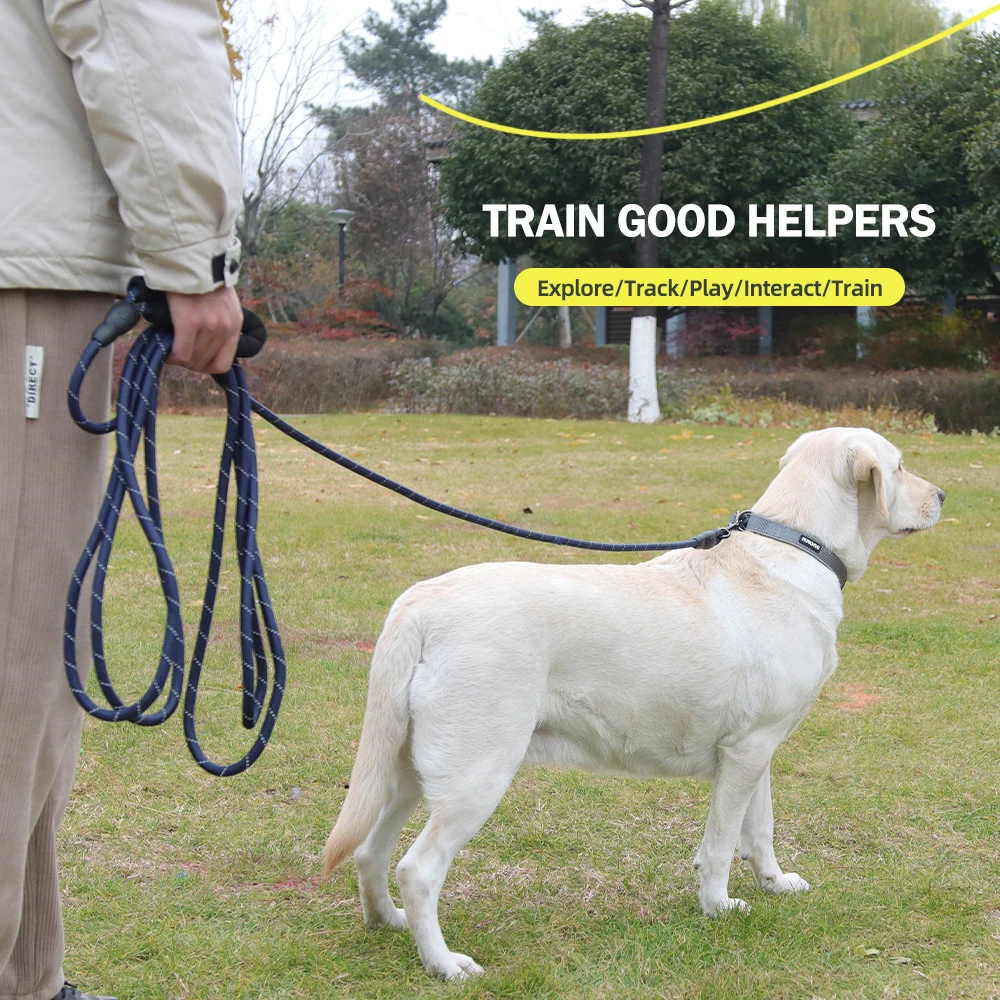 5M/10M/15M Long Dog Training Leash for Walking Heavy Duty Nylon Agility Training 1005012023182935