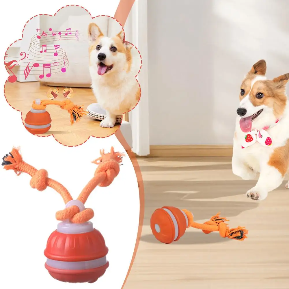 Interactive Dog Toy Ball with Rope Electronic Motion Activated Rolling Ball for Indoor Cat Dog Play 1005012024772956