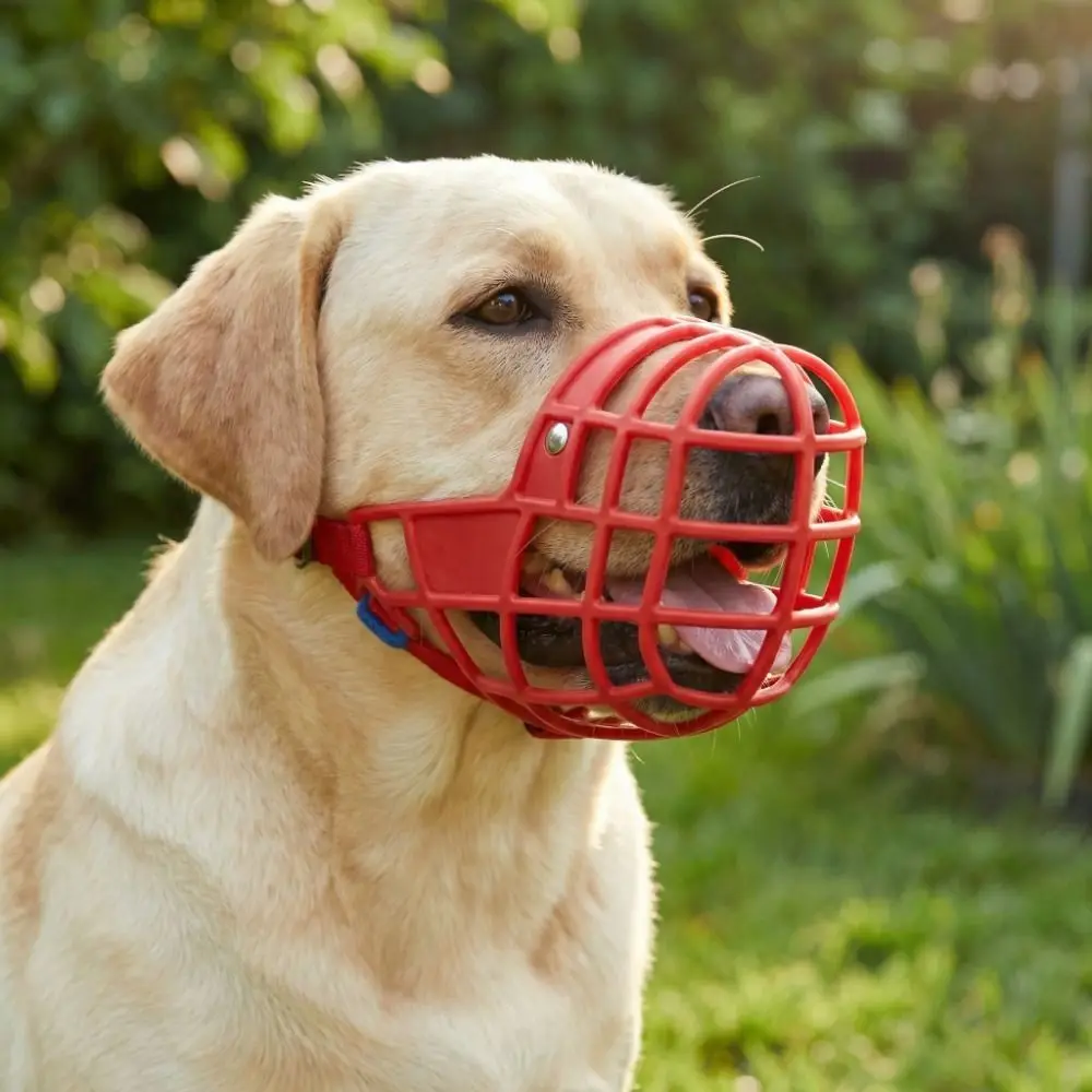 Practical Adjustable Anti-Biting Mouth Cover Breathable Bite Resistant Dog Mask Comfortable Muzzle 1005012041053350
