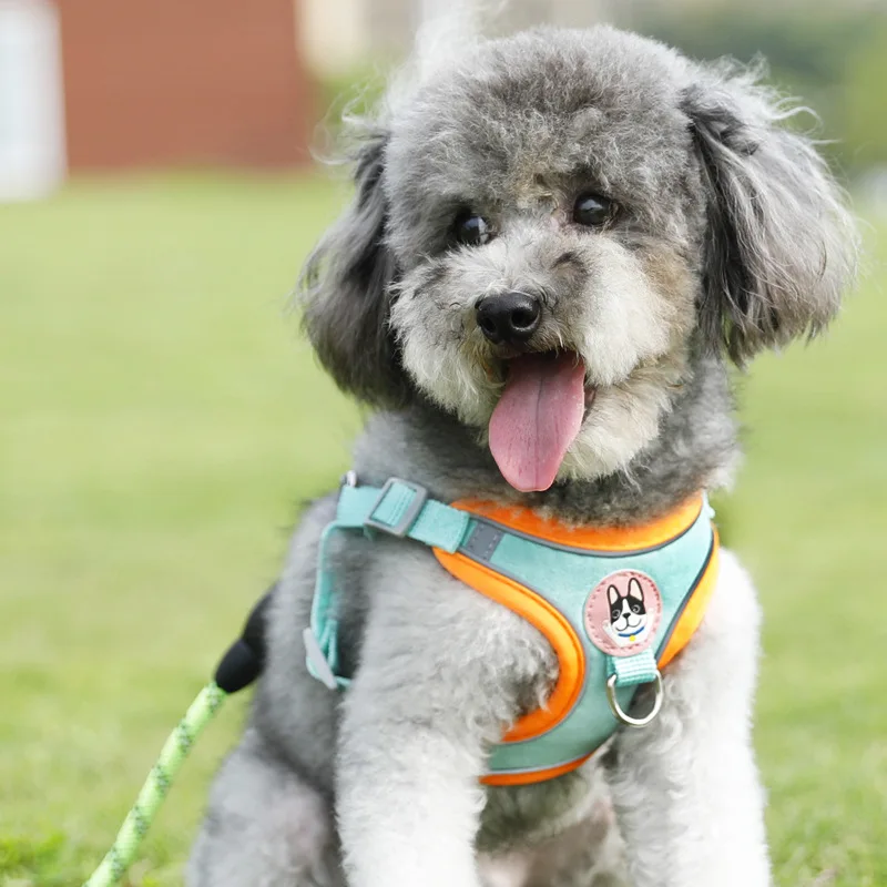 Dog Harness Leash Sets Adjustable for Small Dog Leash Breashable Pet Out Walking Dog 1005012048705180