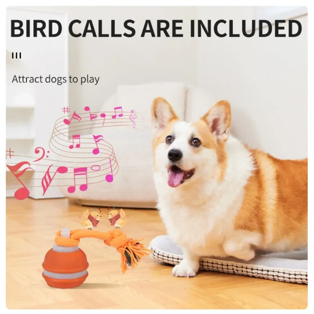 Pet Ball for Dogs Interactive Toys Motion Activate Rolling Puppy/Small Dogs Automatic 1005012062540496
