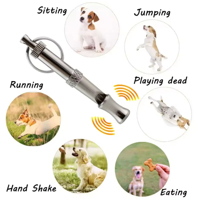 View 5