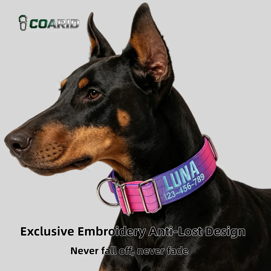 Custom Dog Collar Gradient 12 Colors Knitted, Name Engraved Heavy Duty Anti-Lost 1005012071701236