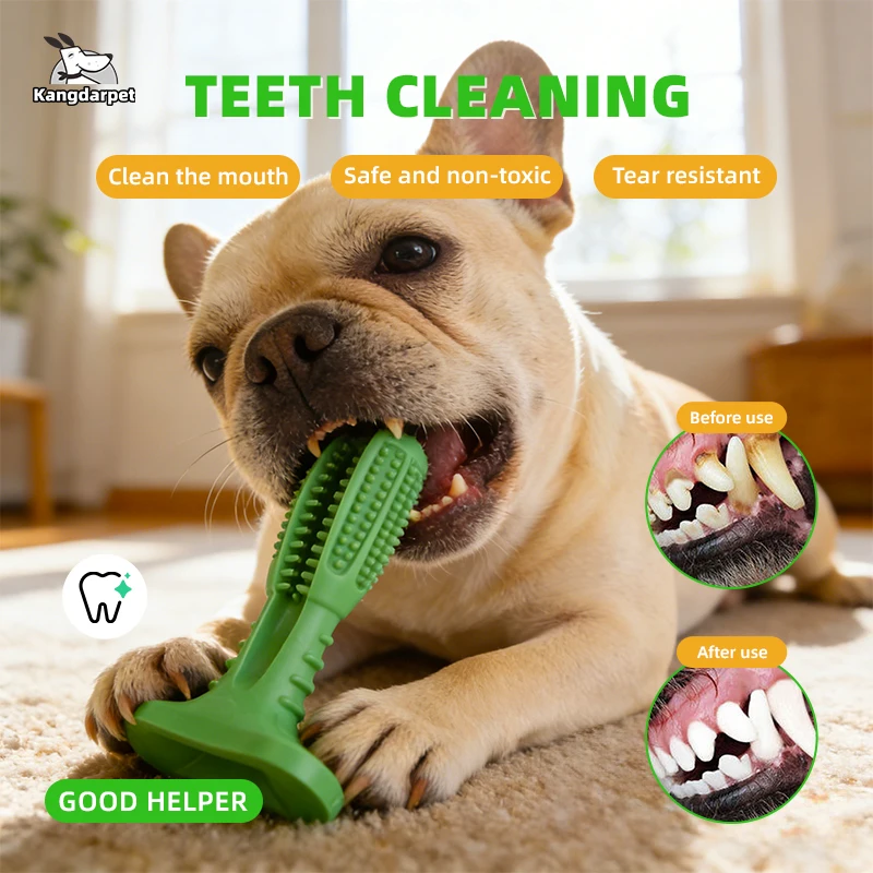 Dog Toys for Large Dogs Toothbrush Squeak Small Dogs Puppy Squeaky Chew Toy Teeth Cleaning 1005012075969162