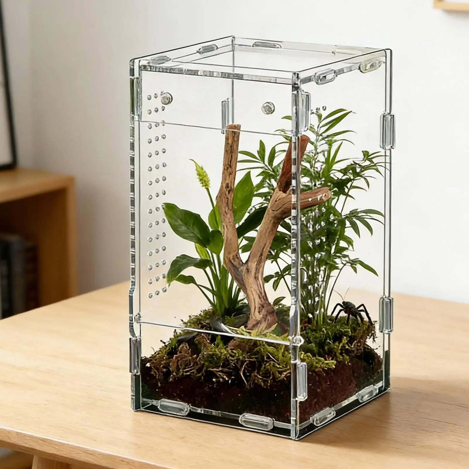 Reptile Enclosure Front Opening Escape Proof Habitat Acrylic Jumping Spider Habitat for Observation 1005012077307242