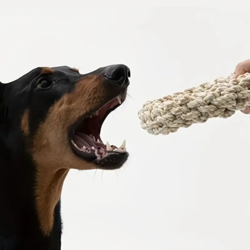 Pet Dog Rope Toy Durable Chew Bite Resistant Drag Pet Toys for Medium Large Dogs Golden Retriever 1005012081662920