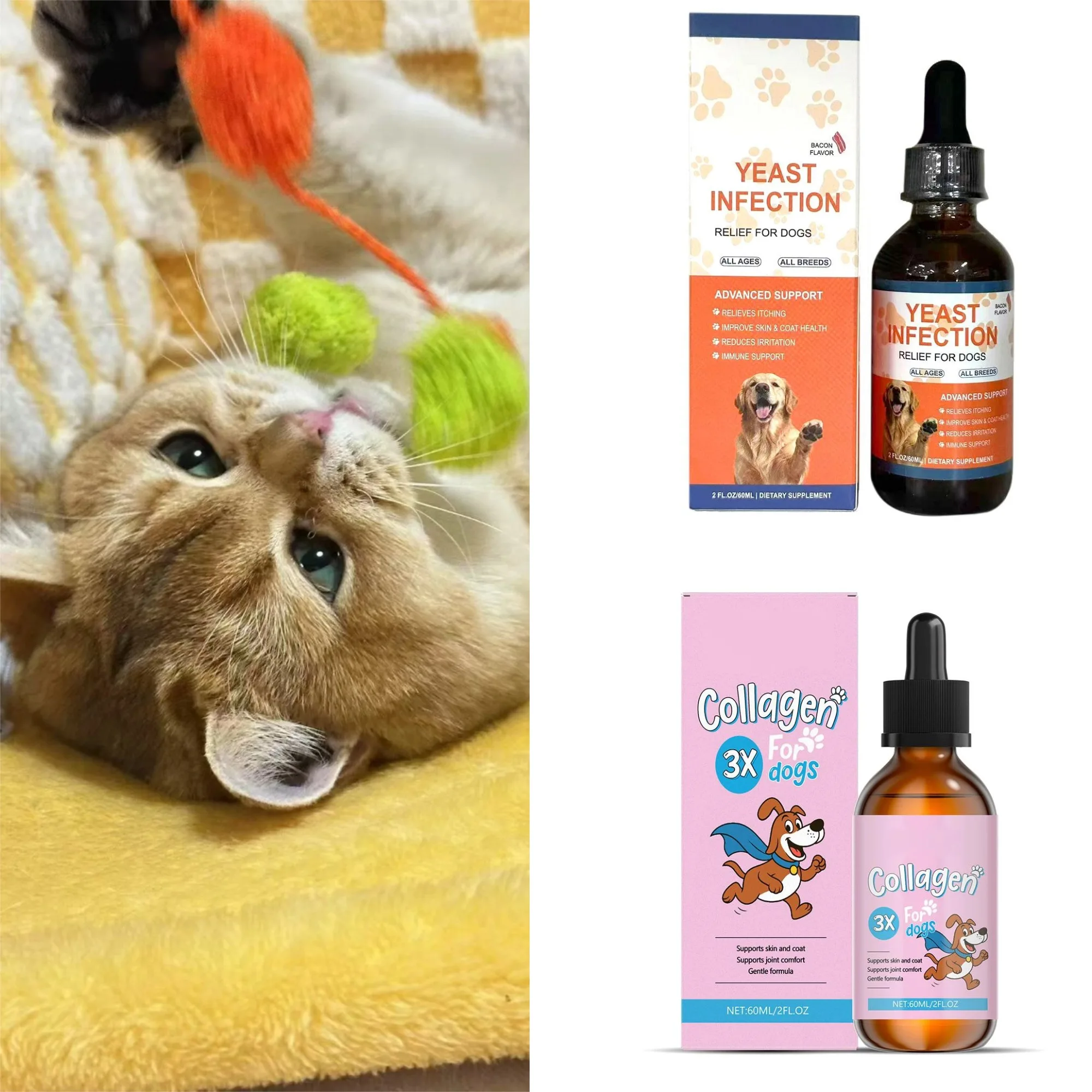 1/2PCS Dog Pet Drops Gentle Care Supplement to Maintain Healthy Coat and Skin Dog Collagen Drops 1005012093900519