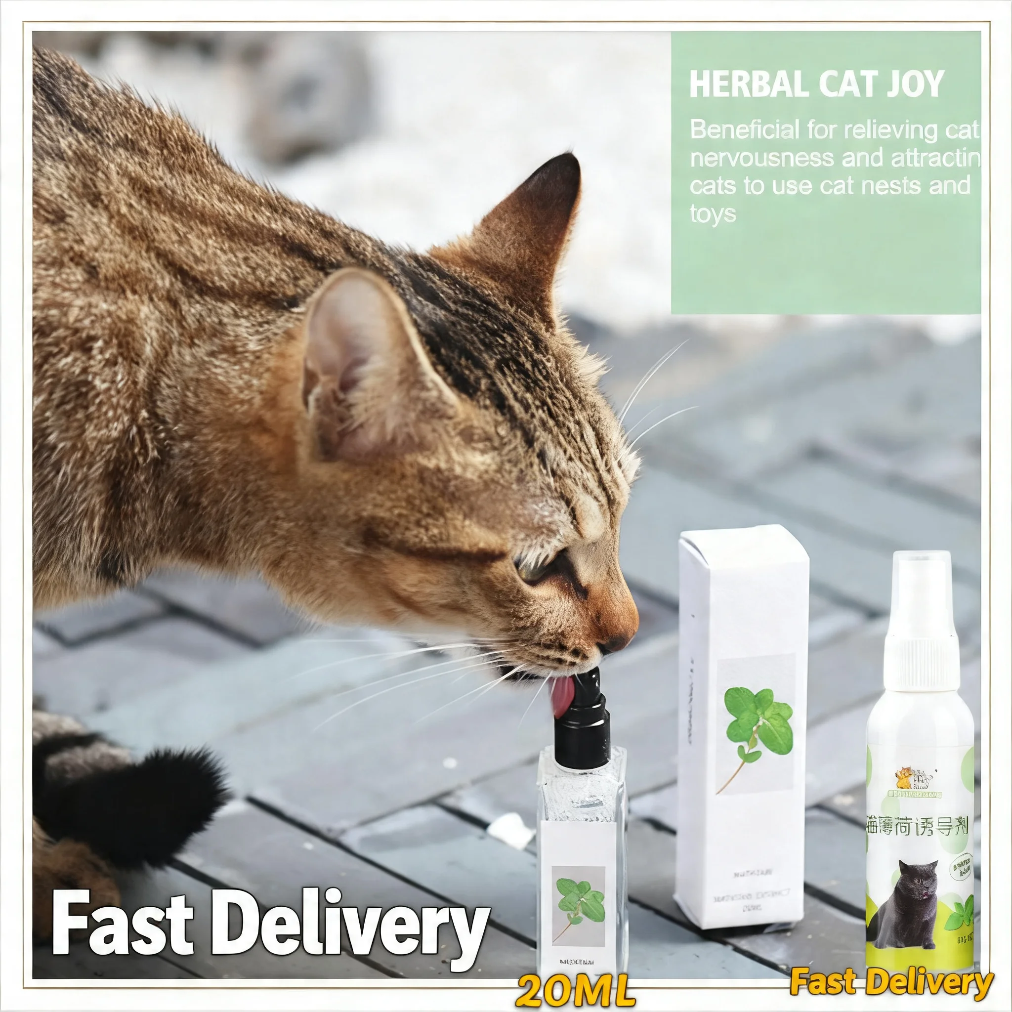 20/50ml Cat Catnip Spray Healthy Ingredients for Kittens Cats & Attractant Easy to Use & Safe Pets 1005012097284009