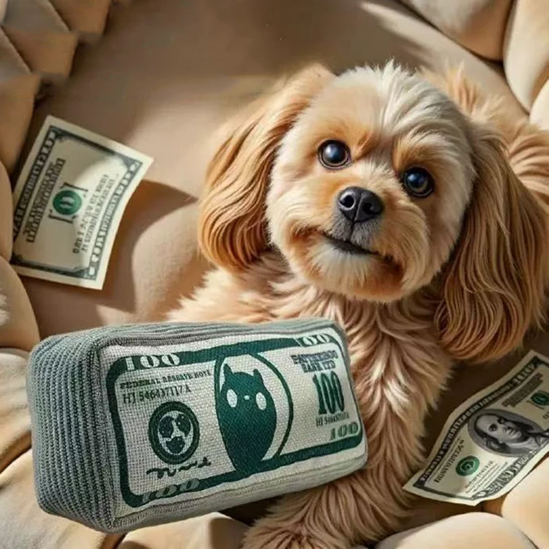 Dog Toys Money Shape Bite Resistant Indestructible Squeaky Toy Sound Interactive Self-Play for Dog 1005012117968696