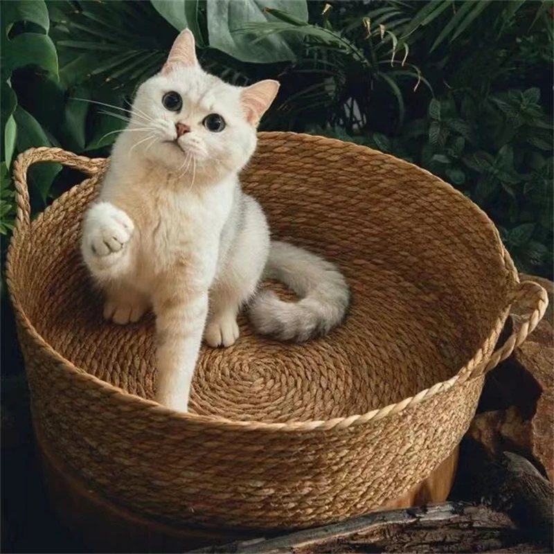 Cat Gog Bed Rattan Four Season Summer Cool Nest Pet Supplies Cattail Woven House Cama De Mimbre 1005012126446821