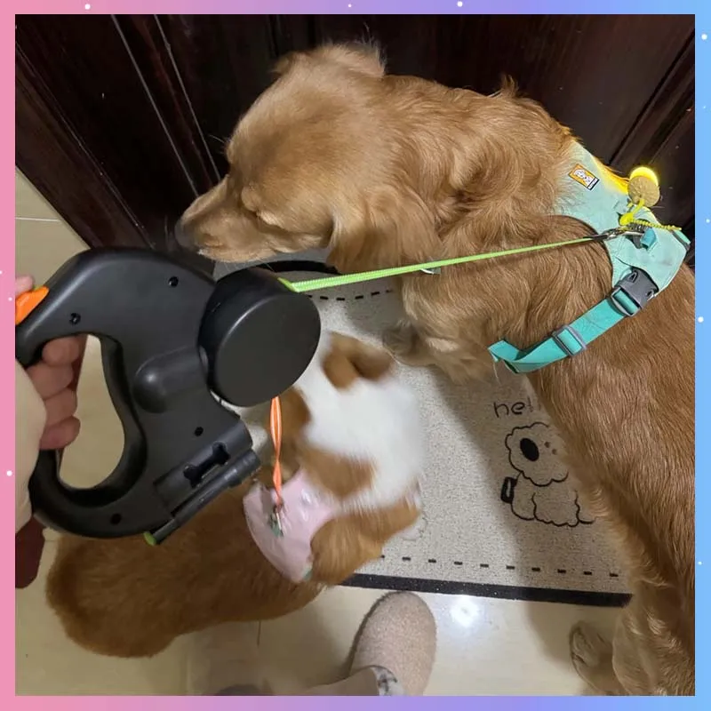 Double-Ended Pet Leash with LED Flashlight One-Hand Operation for Outdoor Walking Automatic Small 1005012130582444