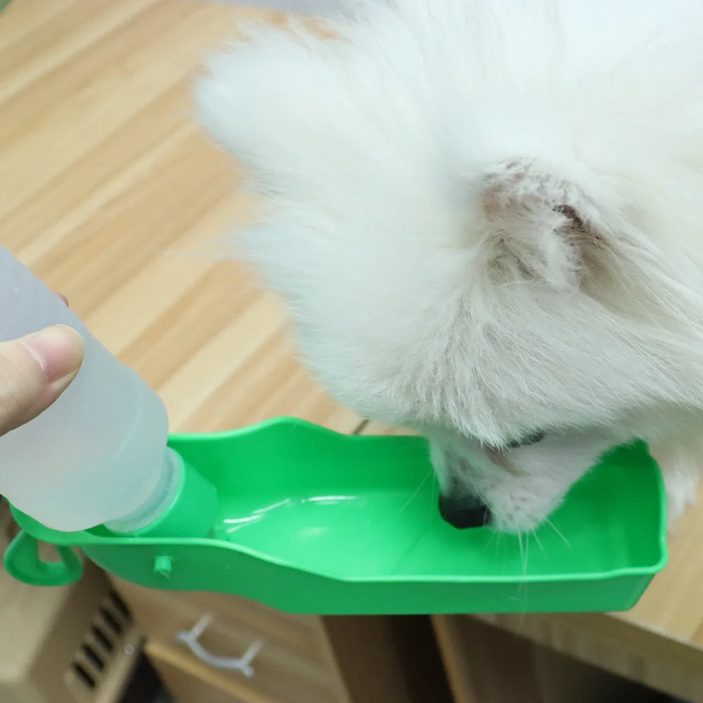 View 4