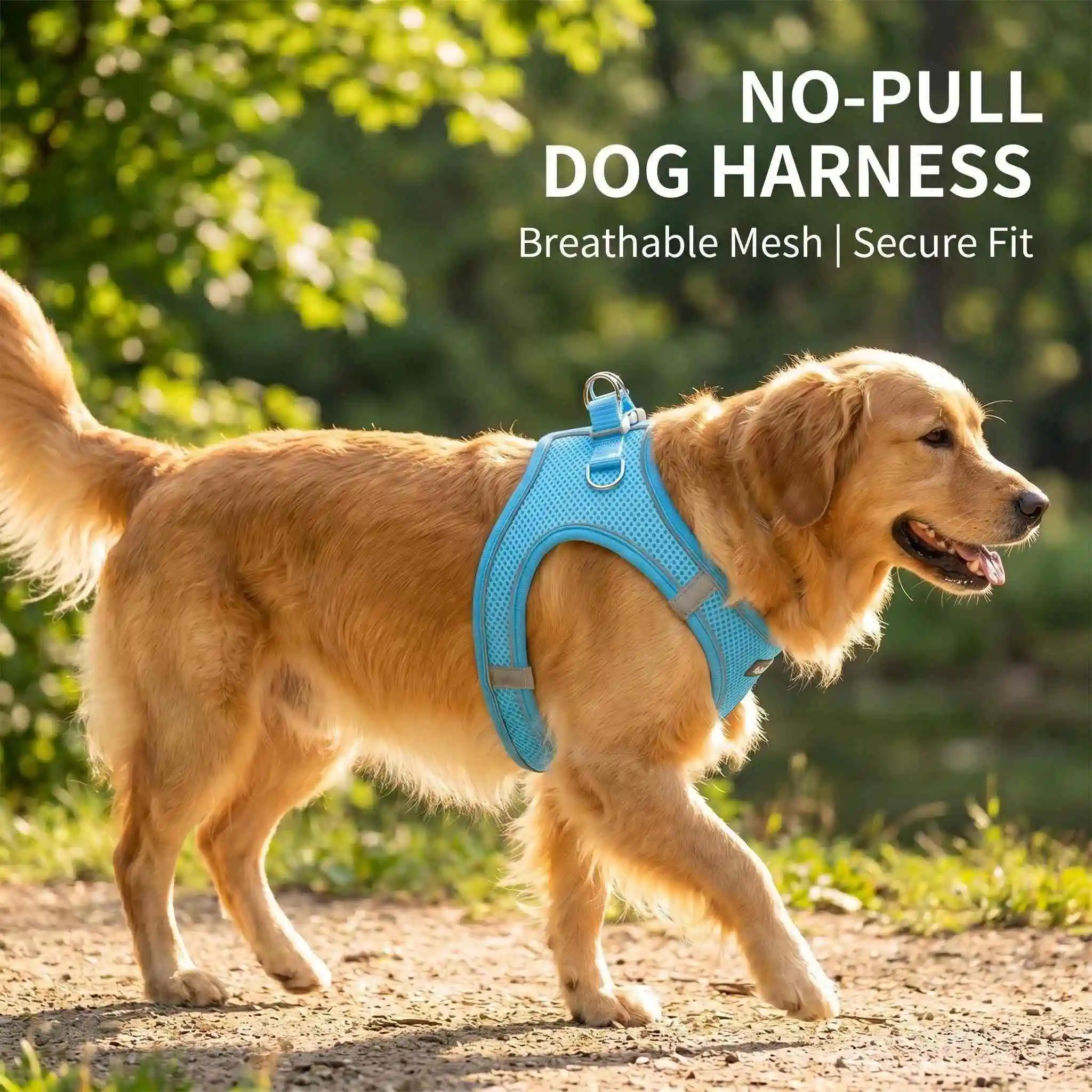 Dog Leash Vest Puppy Harness Set Accessories Adjustable Cat Reflective Chihuahua Small Collar 1005012144603274