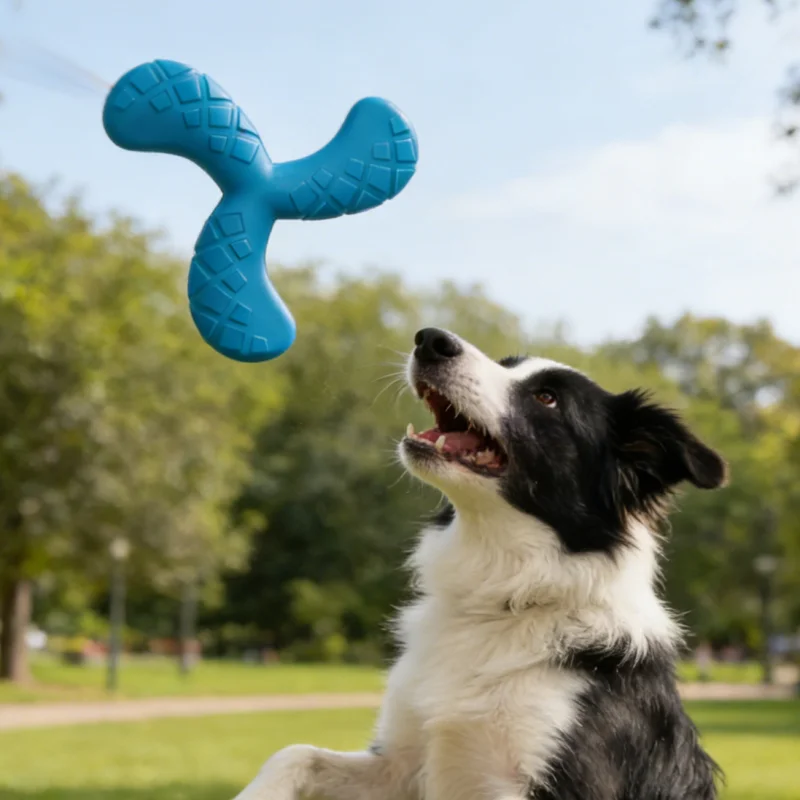 Dogs Eva Boomerang Flying Disc Play Tooth Chew Toy Indestructible Safe Large Dog Tough Toys 1005012148467346