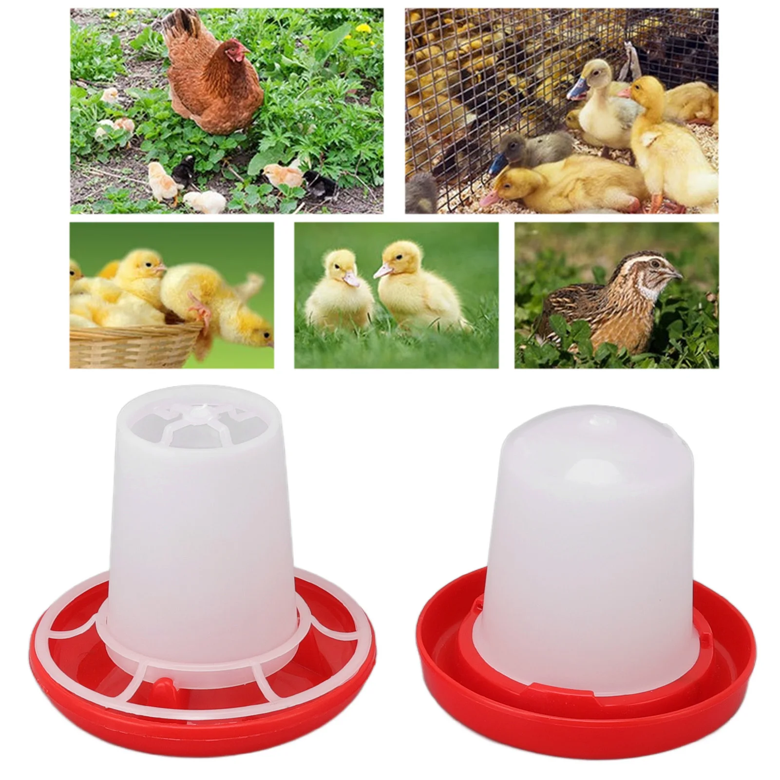 Chick Feeder and Waterer Kit Rotary Sleeve Design Automatic Feeding and Watering Poultry 1005012150590400