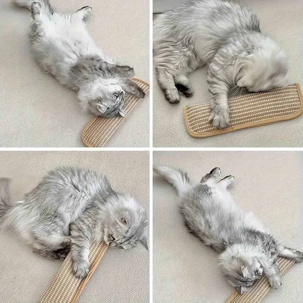Cat Toy Game Pillow and Cat Scratching Pad for Solo Play and Intimate Interaction to Keep Your 1005012171394788