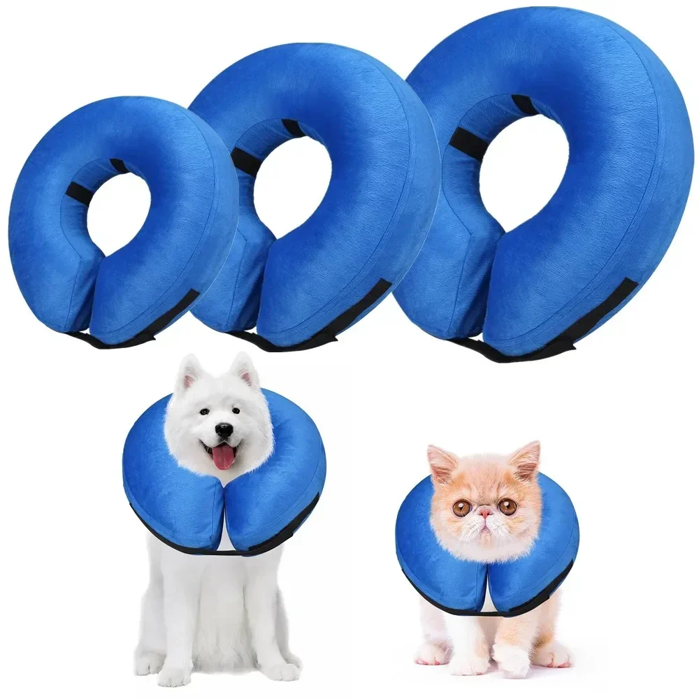 Dog Cones After Surgery 1005012184795786