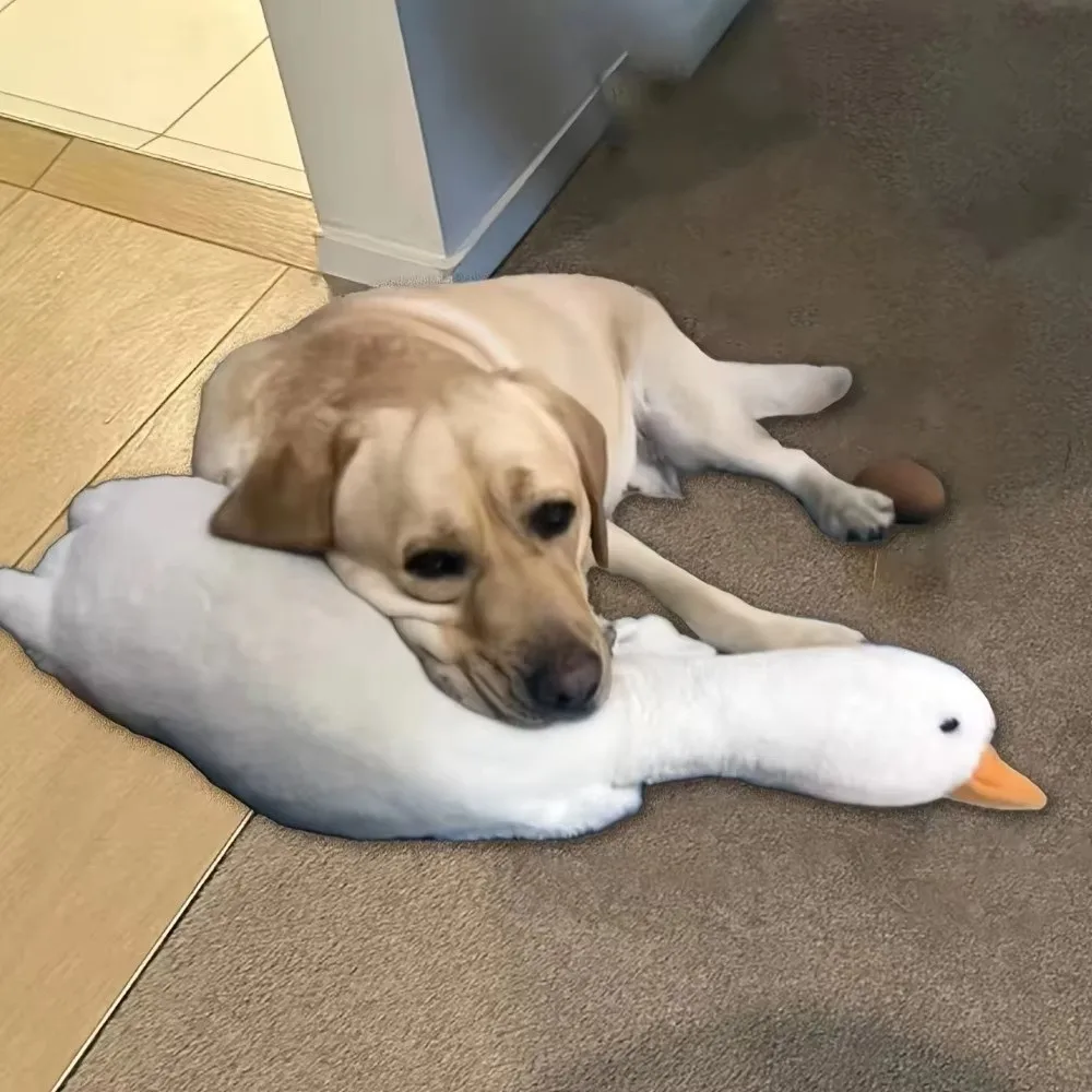 Cute Energy Release Duck Dogs Toy Soft Colorful Pet Companion Toy Portable Cartoon Cats Toy (50cm) 1005012205182172