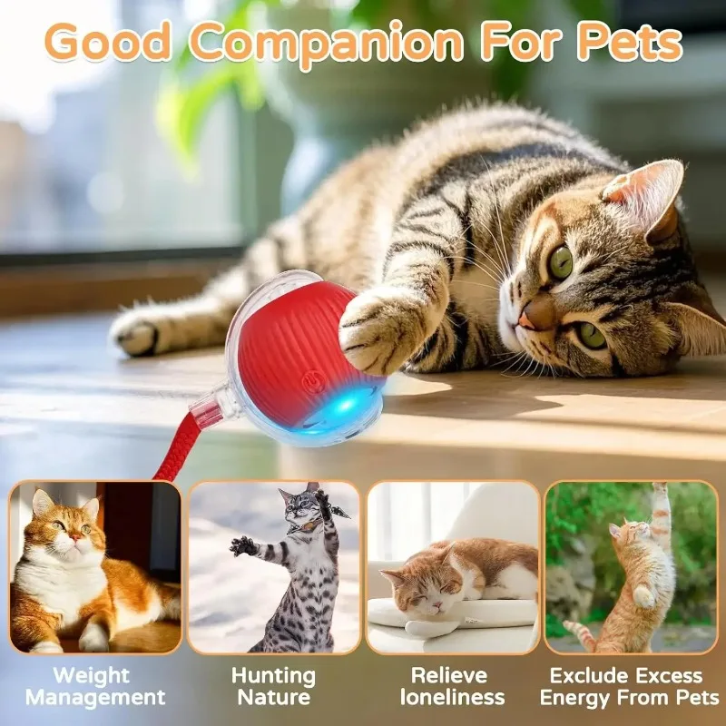 Dog Cat Interactive Ball Toy Automatic Rolling Ball Faux Tail Rechargeable Smart Pet Electric Toy 1005012210746925