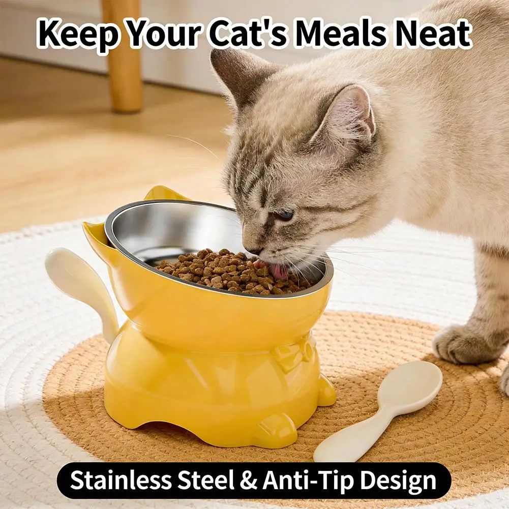 Elevated Cat Bowl 15° Tilted Stainless Steel Cat Food Bowl with Non-Slip Base Neck-Friendly Pet 1005012254058298