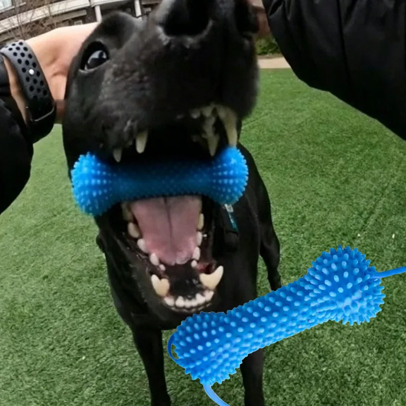 Dog Toothbrushing Toy Suction Cup Pull Rope Dental Chew Stick Rubber Teeth Cleaning Toy Interactive 1005012352348778