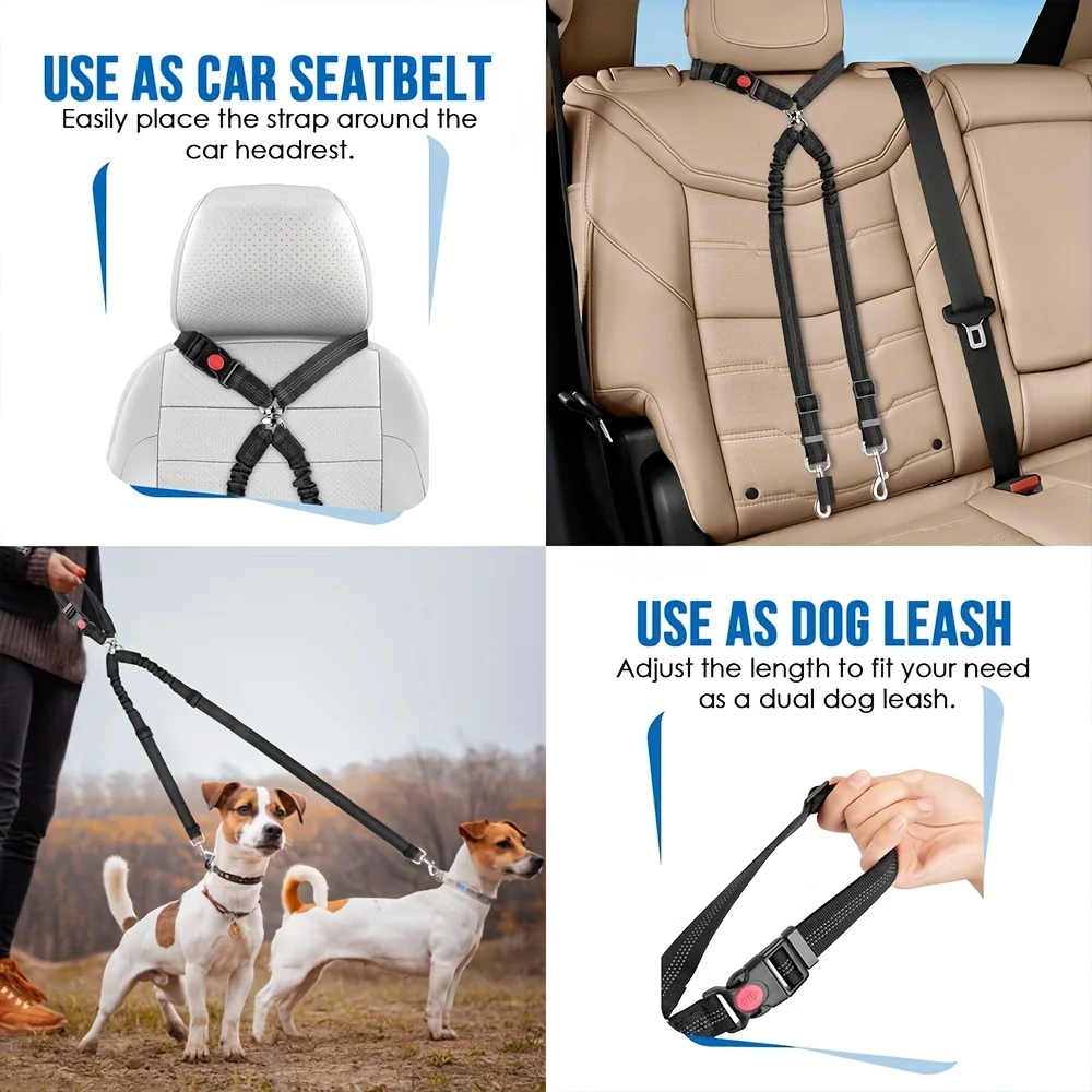 View 2
