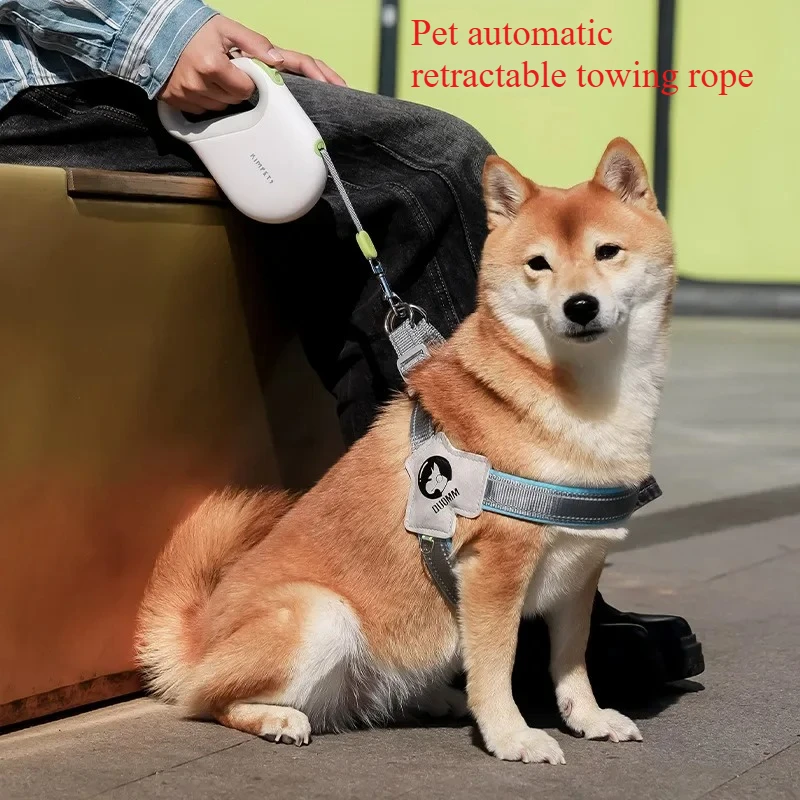 Retractable Dog Leash, One-Click Brake, Reflective Rope, 200LBS, for S/M/L Pets 8 Colors (5M) 1005012415194828