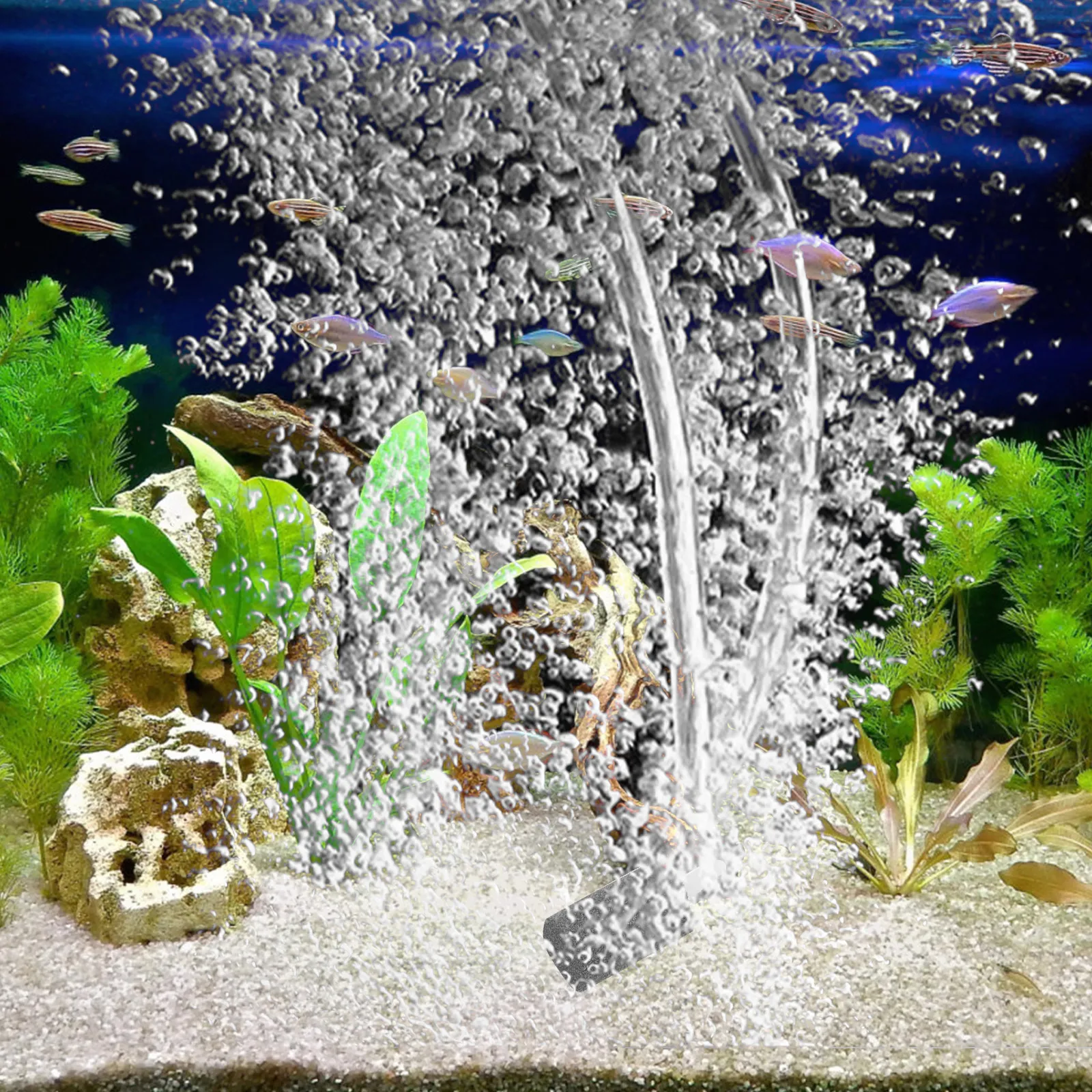 USB Powered Portable Air Pump for Fish Tank Aquarium Oxygenation Quiet Small Aquarium Bubbler 1005012415865091