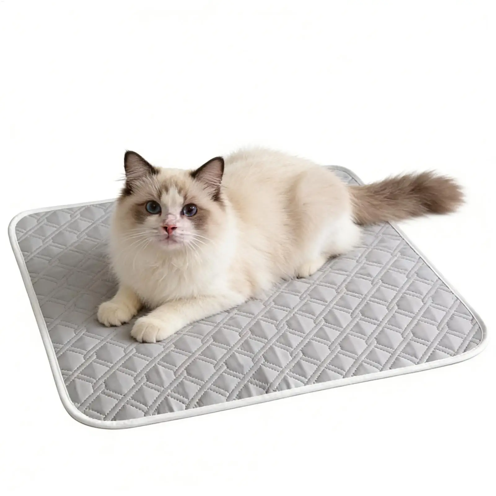 Dog Cooling Mat Summer Pet Cold Bed 45x35cm for Small Big Dogs Accessories Cat Durable Blanket Sofa 1005012426105304