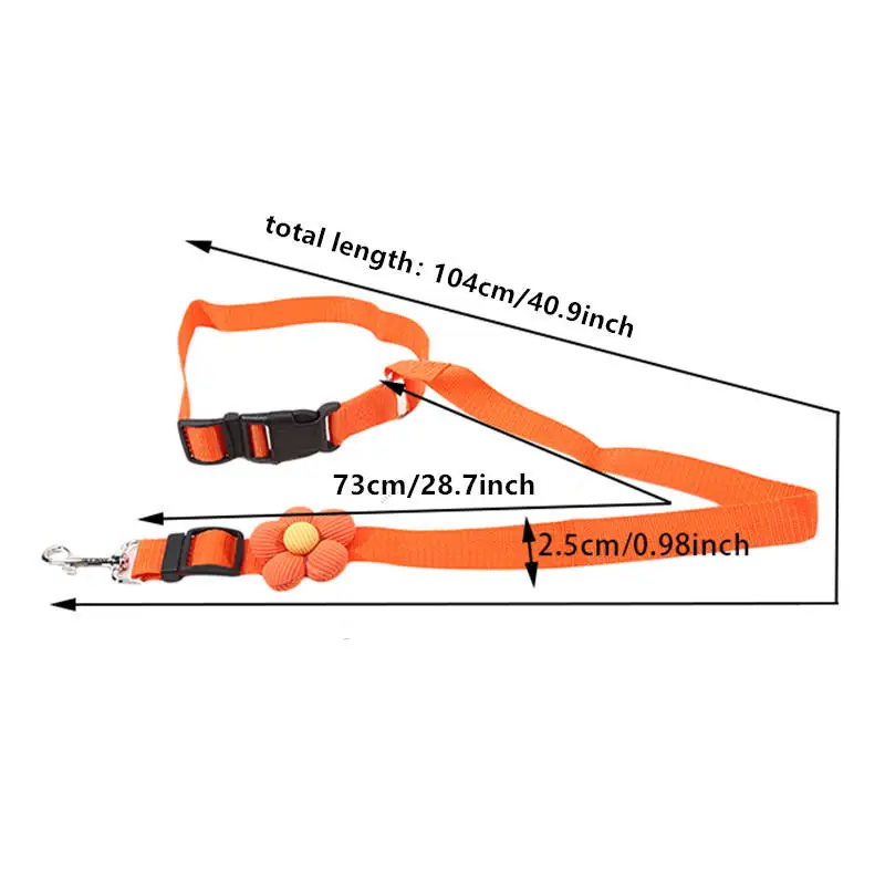 View 5