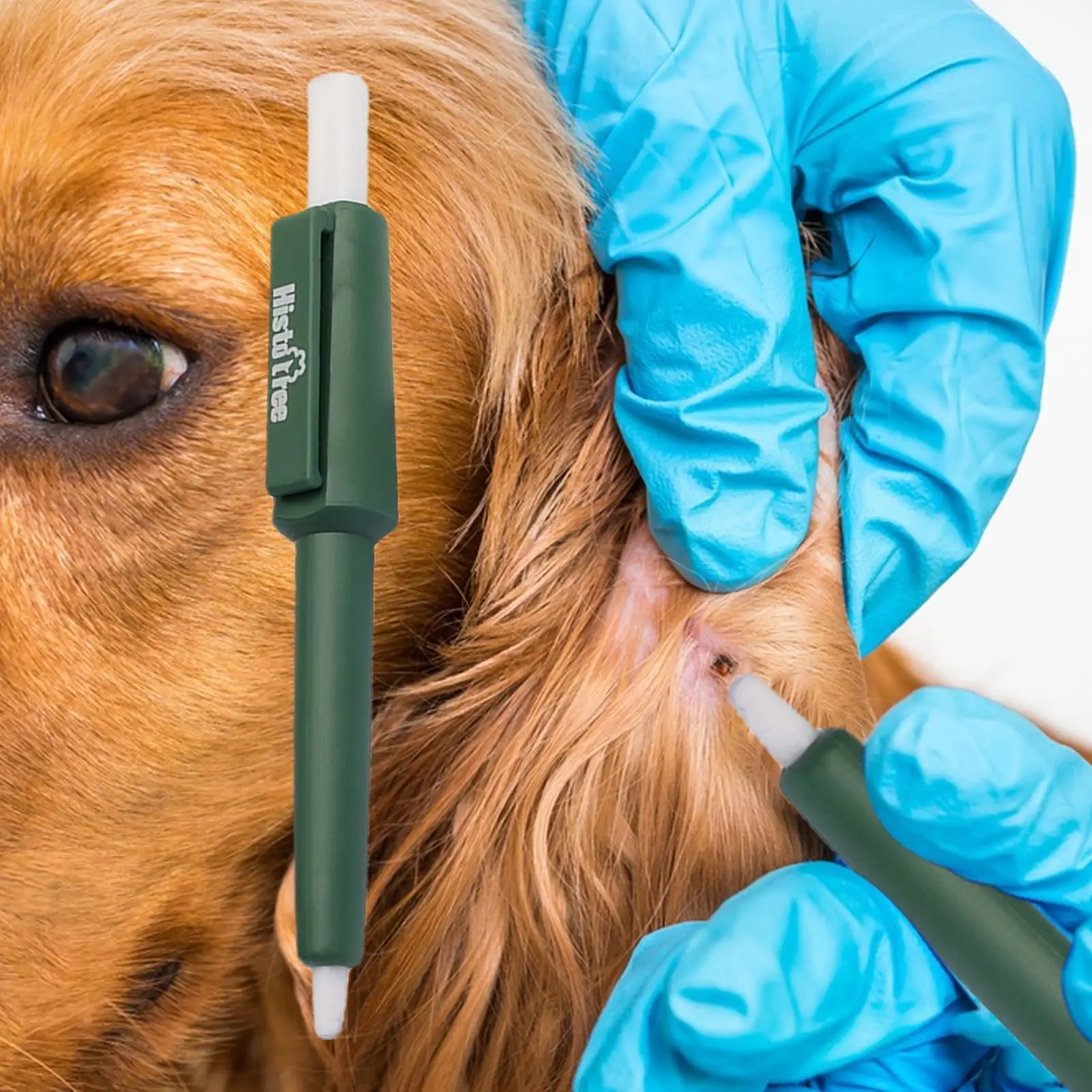 Pet Tick Remover Waterproof and Durable Pet Flea Pet Beauty Insect Catcher Tick Clip Lice (1Pcs) 1005012497617312