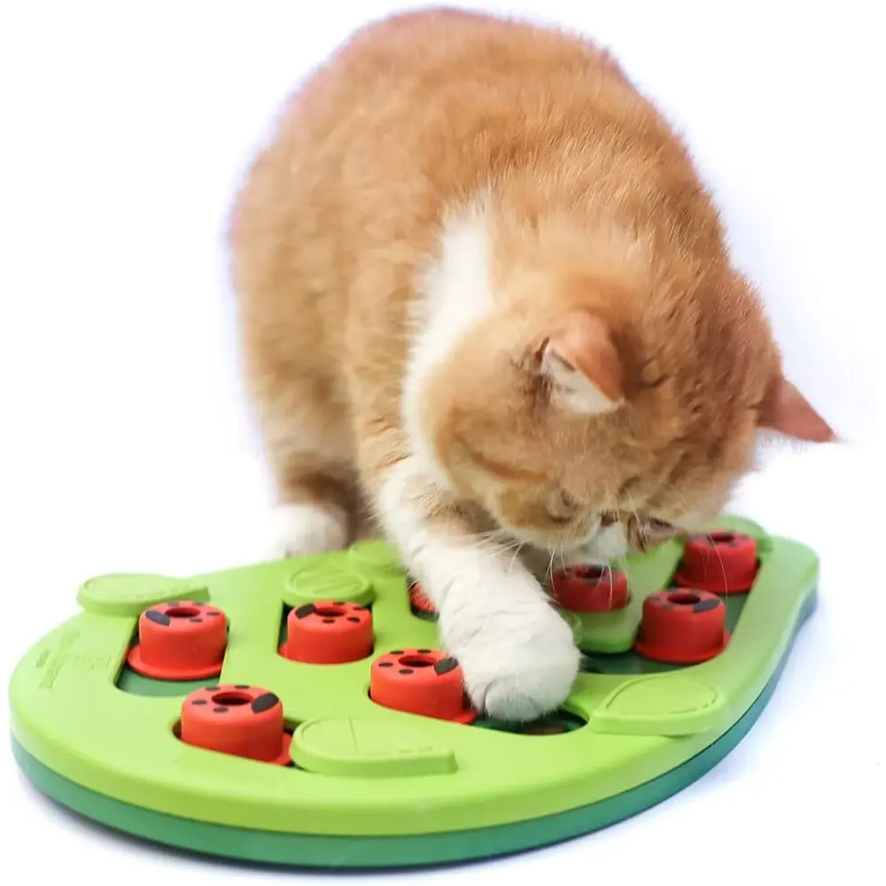 Cat Puzzle Treat Toy Made of Non Toxic Plastic with Playful and Interactive Style 1005012511401917