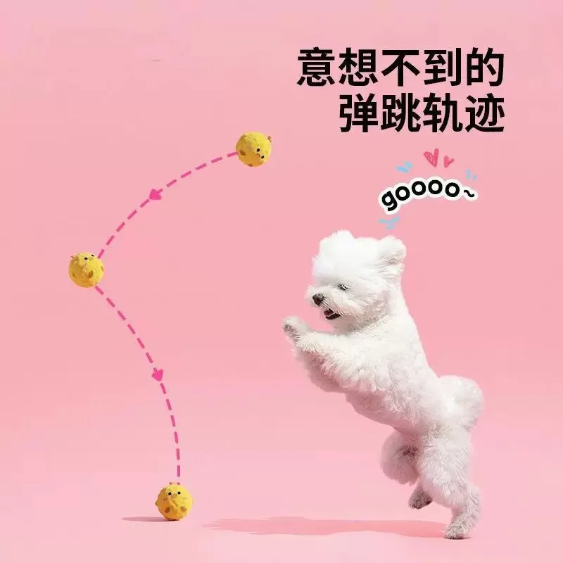 Dog Cartoon Squeaky Ball Toy for Pets 1005012514490091