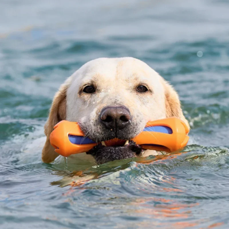 Floating TPR Dog Water-Lok Stick Bite Resistant Molar Chew Toy Swimming Pool Fetch Training Toy 1005012532221156