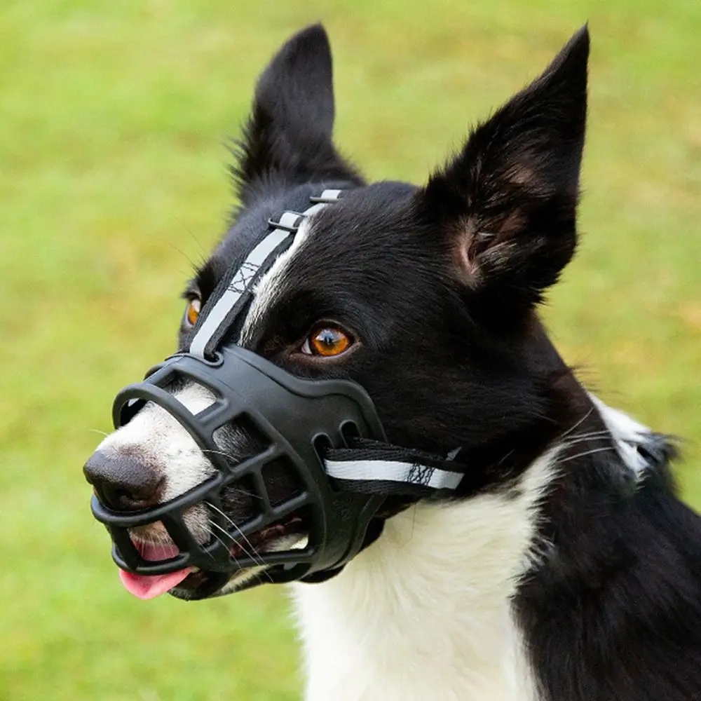 Adjustable Dog Muzzle Anti-Biting Dog Mouth Cover with Reflective Strip Can Drink Water Breathable 1005012547664152